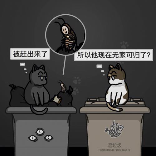 双子座看见蟑螂的反应