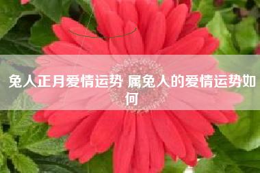 属兔人在2020年中有收获爱情吗?感情运有什么变化?