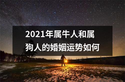 属牛人和属狗人2021年适合结婚吗