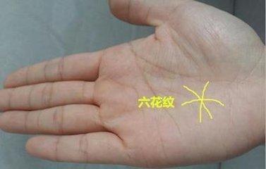 有m纹手相的女人多不多