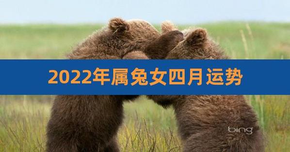 属兔女人2022年2月健康运程预测