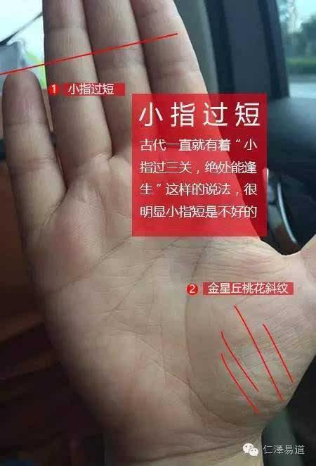 小拇指短的人运势如何?