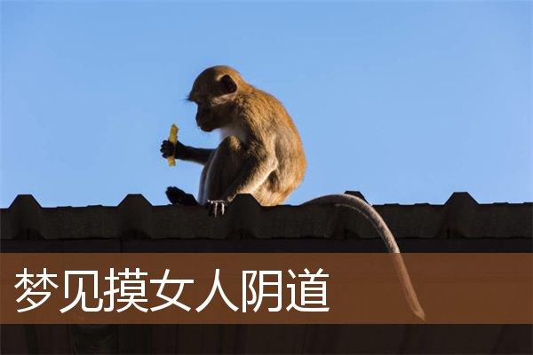 梦见女人主动让自己摸
