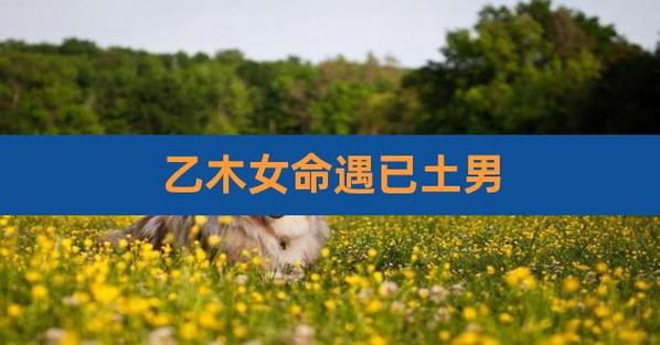 己土男和乙木女相濡以沫