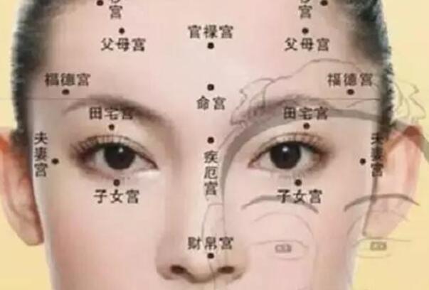 异性缘极重的八字与面相解析