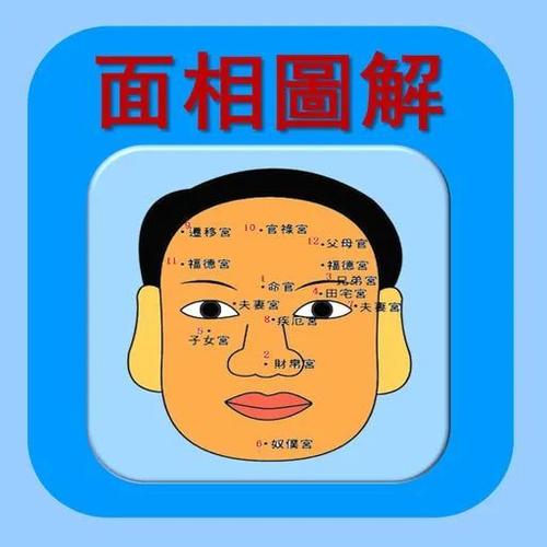 男人的鼻子面相