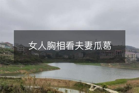女人胸相看夫妻关系