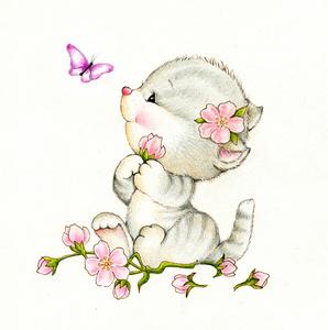 梦见猫捉蝴蝶