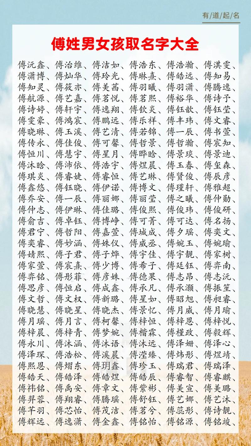 付姓名字大全男孩名字