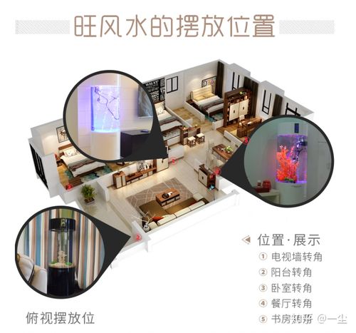 鱼缸摆放风水位置讲究