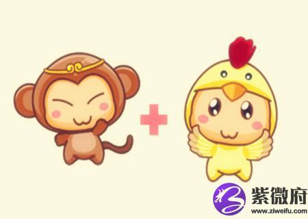 属鸡的和属猴的相配吗