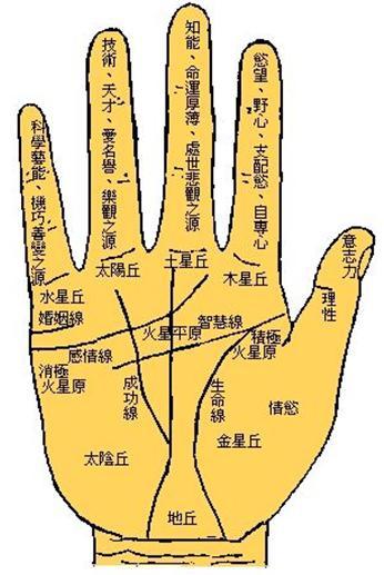 手相掌丘占卜 手相各丘的图解