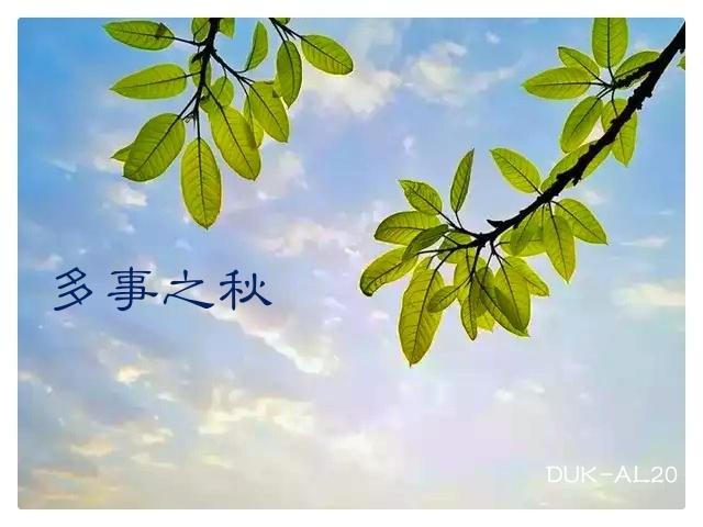 都说多事之秋,秋天多了哪些事?