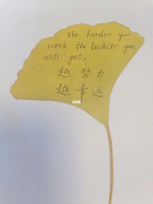 72星区解析:白羊座二区,越努力越幸运