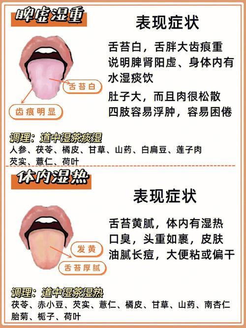 卷舌的人聪明吗,不同的舌头不同的命运