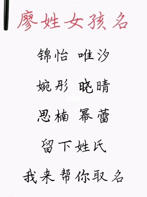 虎年廖姓女孩大气响亮的名字