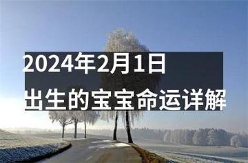 2021年1月2号出生的宝宝八字