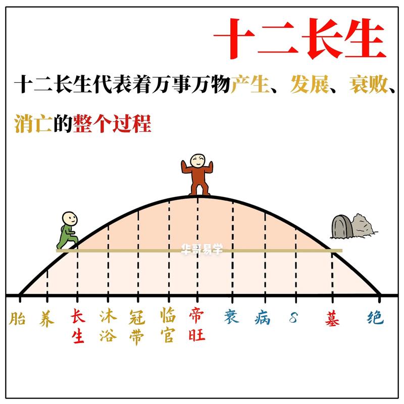 五行十二长生状态表