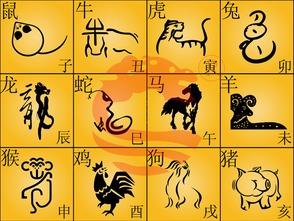 属牛和属牛的八字合吗