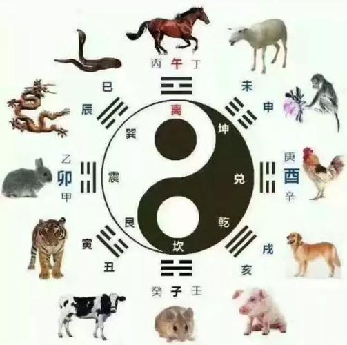 2021年生肖对冲是哪几个生肖