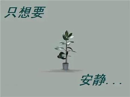 各血型君想一个人静静的理由