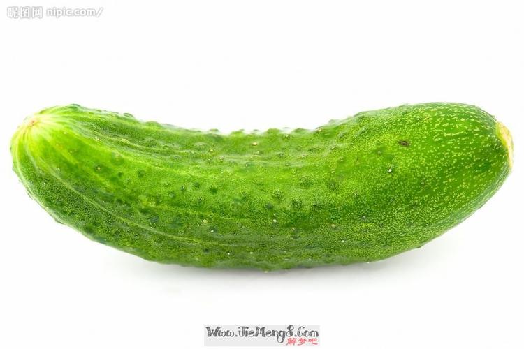 梦见青瓜是什么预兆