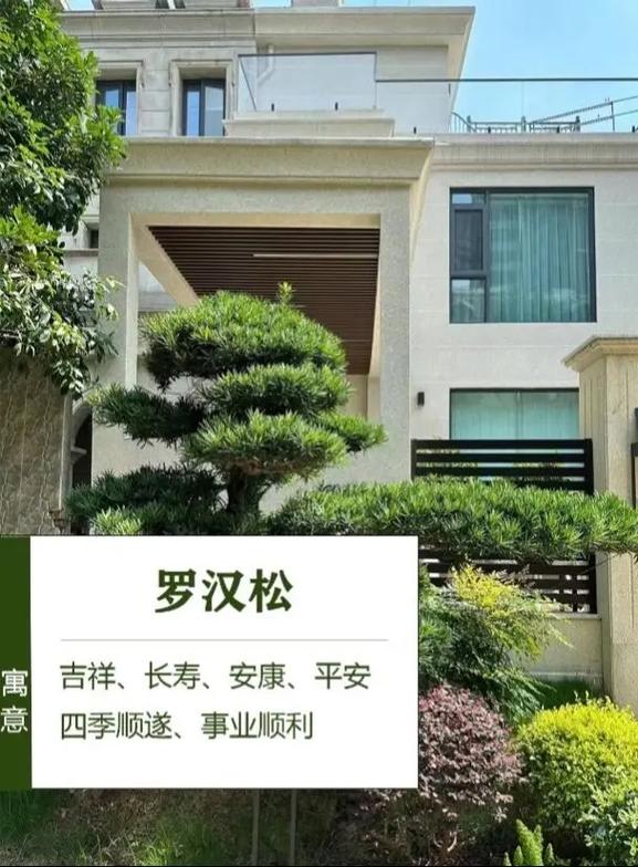 房子周围的树的风水大全,风水好坏全靠它