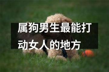属狗男生最能打动女人的地方