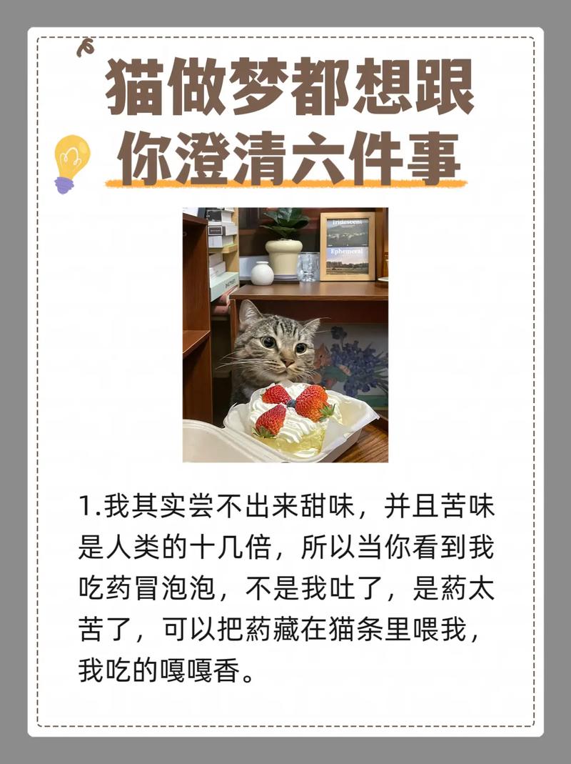 梦见跟猫跟好