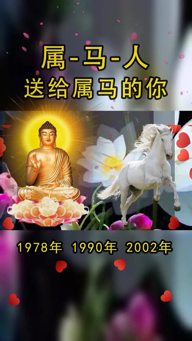 属马的爱情为什么蒸发