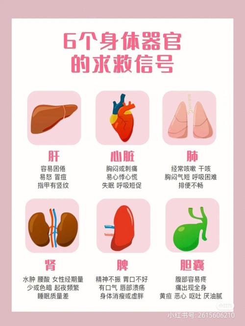 当心人体亮红灯!12属相容易出現的身心健康安全隐患