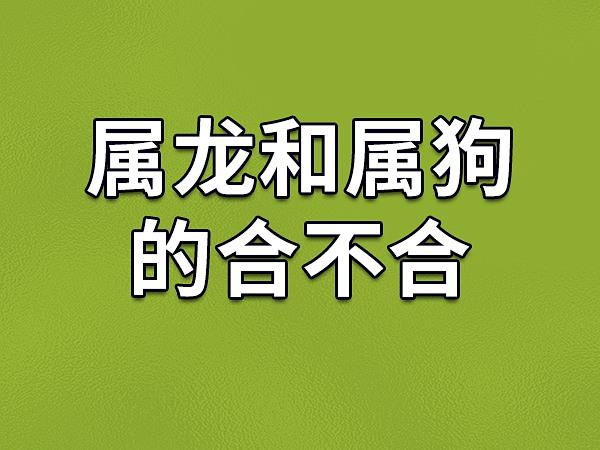 为什么龙和狗的感情这么好