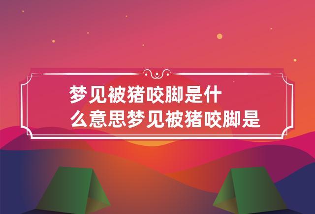 梦见被猪咬腿 工作事业运势如何