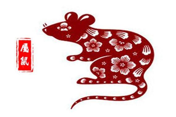 属鼠保持健康的风水方法