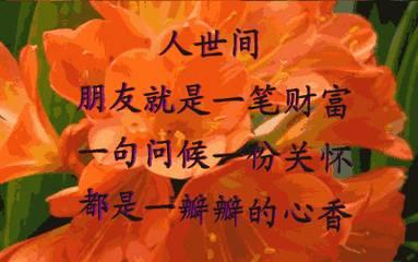 测年底会给你下套的人