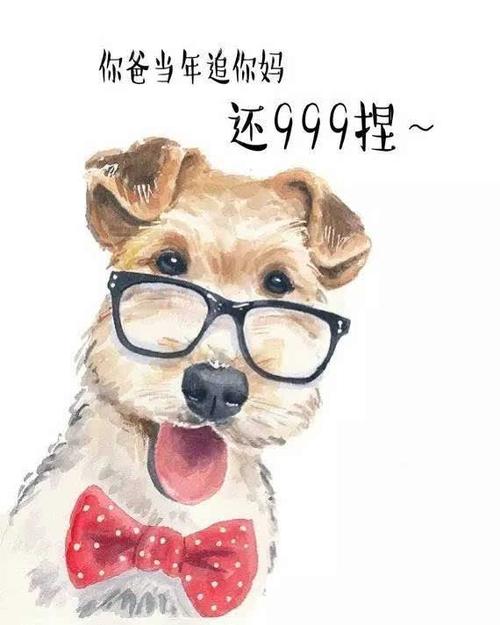 属鸡女最易被哪种撩妹手段撩走