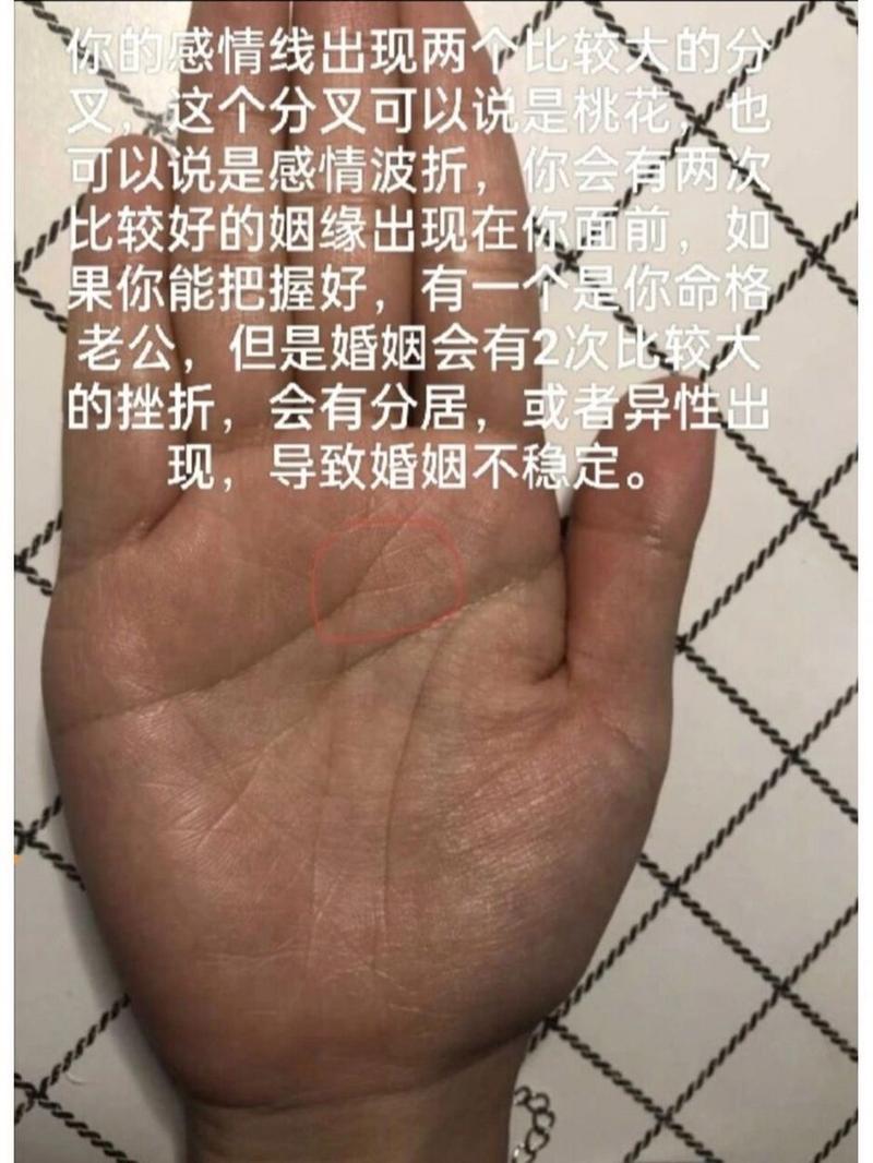 感情线分叉不一定是爱情不顺,也代表你个人魅力强