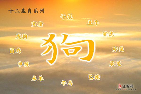 属狗的人考试时会怎么作弊