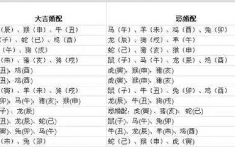 85属牛的最佳婚配年龄