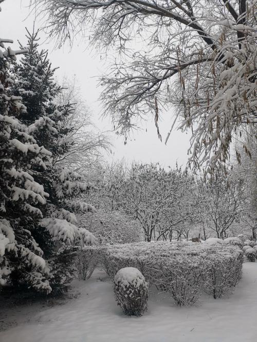 十二星座南方人看到北国的雪会有什么感触