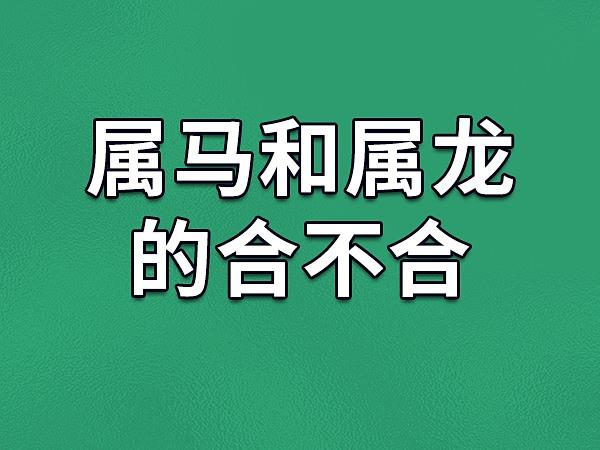女马男龙谈恋爱会有结果吗？属龙酉时出生好？