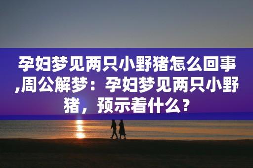 梦见2只猪 周公解梦之梦到2只猪