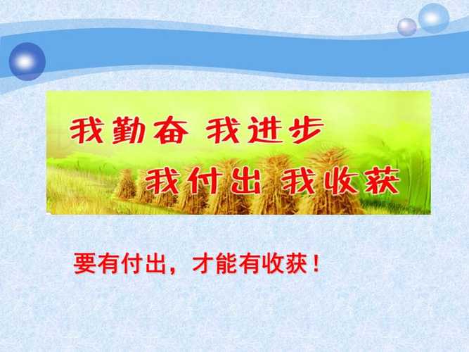 有付出就有收获