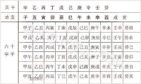 日柱癸巳遇到庚子年