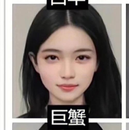 巨蟹座瓜子脸好看吗
