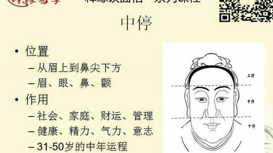 解析:面相中停什么样好