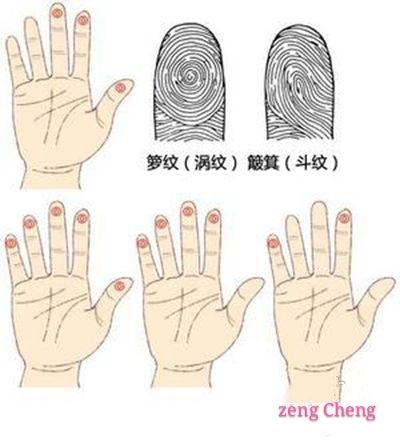 简易的指纹运势