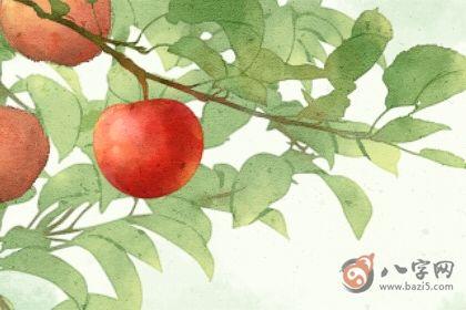 木枯运是霉运吗