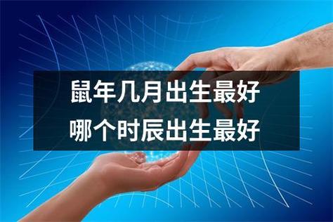 属鼠哪个时辰出生最好命富贵