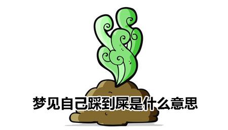 梦见踩屎是什么意思